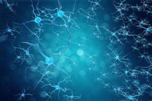 Candida and Alzheimer's | The Best Approach For Success