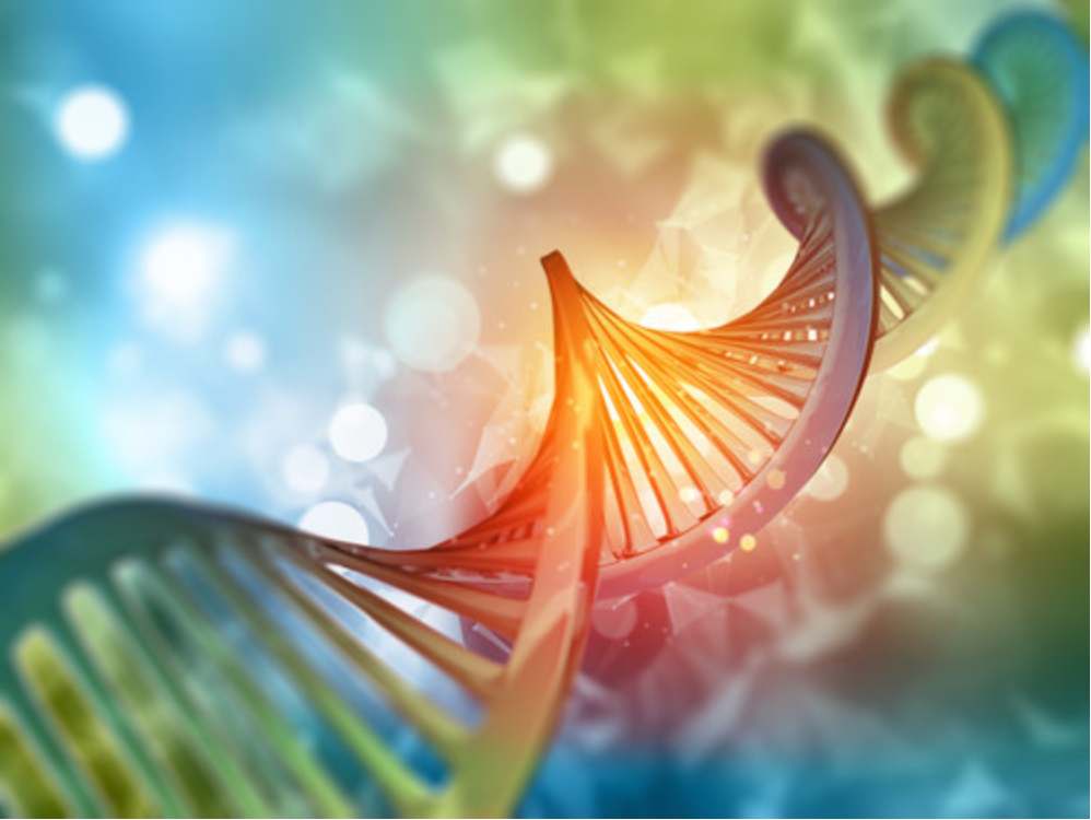 Functional Genomic Testing and Complex Trait Analysis with video explanation and 1 hour follow-up consult