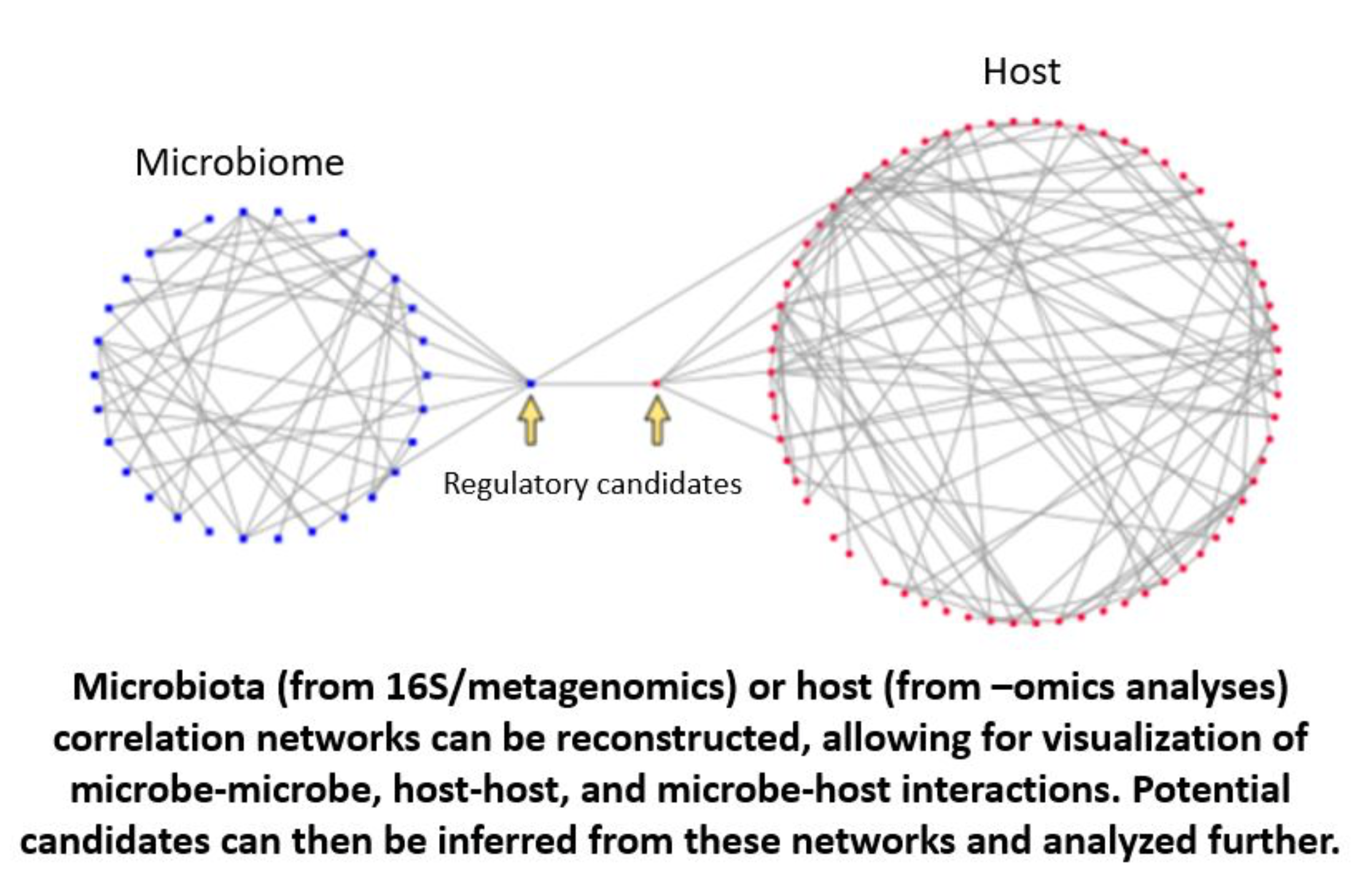 Transkingdom Network Analysis