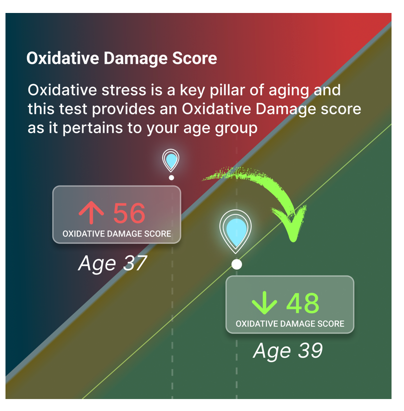 Oxidative Stress Profile -  (***MetaOmics Integration requires purchase of additional test panels)